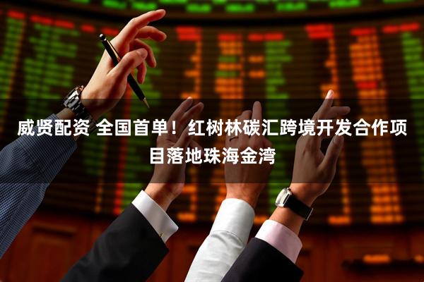 威贤配资 全国首单！红树林碳汇跨境开发合作项目落地珠海金湾