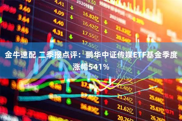 金牛速配 二季报点评：鹏华中证传媒ETF基金季度涨幅541%